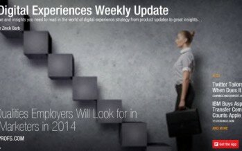 It’s A Wrap for 2013: Preparing for Digital Marketing in 2014
