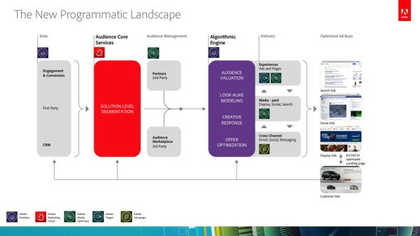 AMC Programmatic Landscape