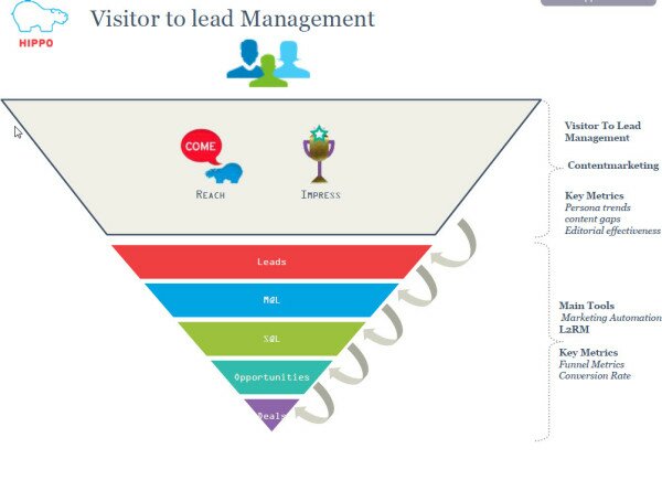 Hippo's Visitor to Lead Management Perspective